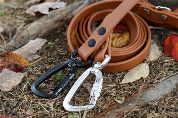 BioThane® Waterproof Dog Leash with Carabiner | Durable Outdoor Hiking Lead