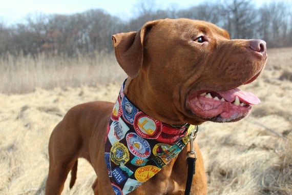 Male dog bandanas Clearance