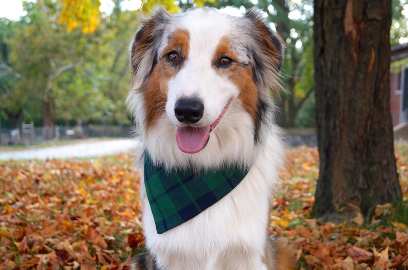 Plaid Dog Bandana, Dog Christmas Bandana Over the Collar, Dog Christmas Gift, New Dog Owner Gifts image 9