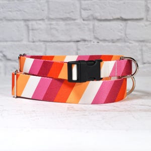 May include: A colorful striped dog collar with a black buckle and silver D-rings. The collar is made of a durable fabric and features a pink, orange, and white striped pattern.