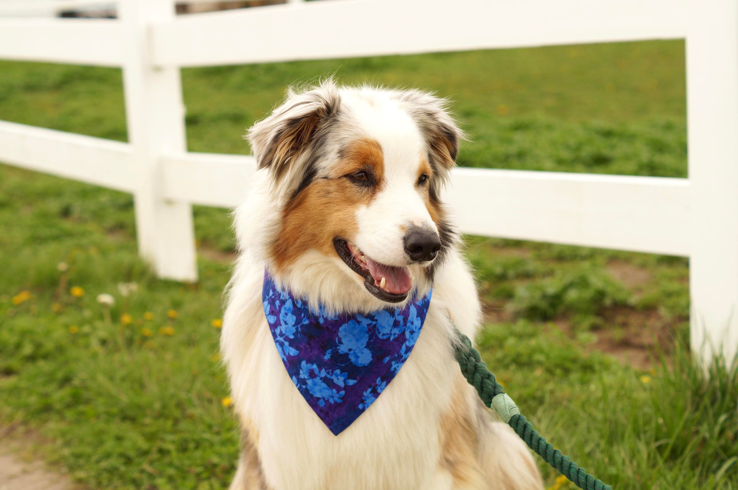 Floral Dog Bandana - Bandanas Cute Spring Girl Accessoires Pour Chiens d'été