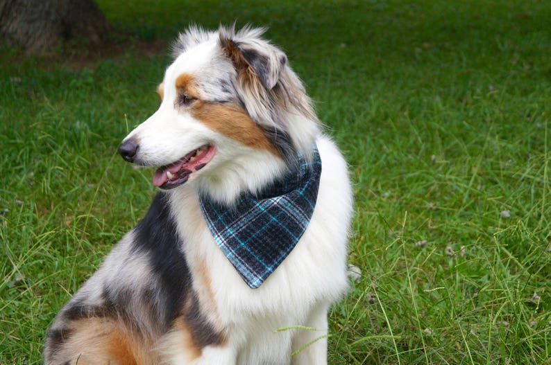 Plaid Dog Bandana Boy Dog Bandana Gifts for Dogs Gifts Etsy