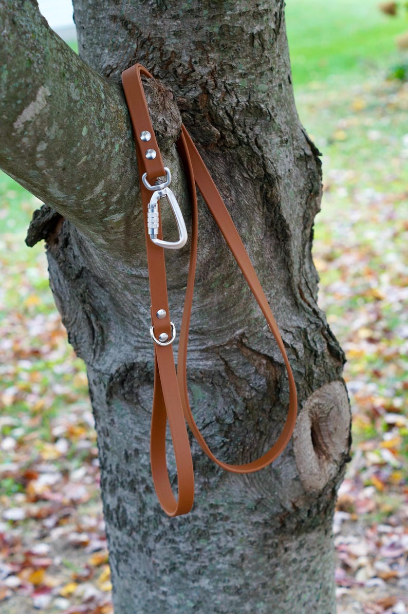MooseExpressions tan waterproof leash with silver hardware