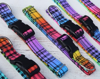 Rainbow Plaid, Gay Dog Collar, Rainbow Dog Collar, LGBT, Gay Pride, Dog Parent Gift