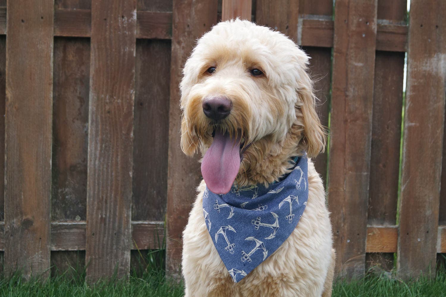 Summer Dog Bandana - Cute Anchor Boy Girl Cadeaux Pour Chiens Dons de Chien Chien Snapdana