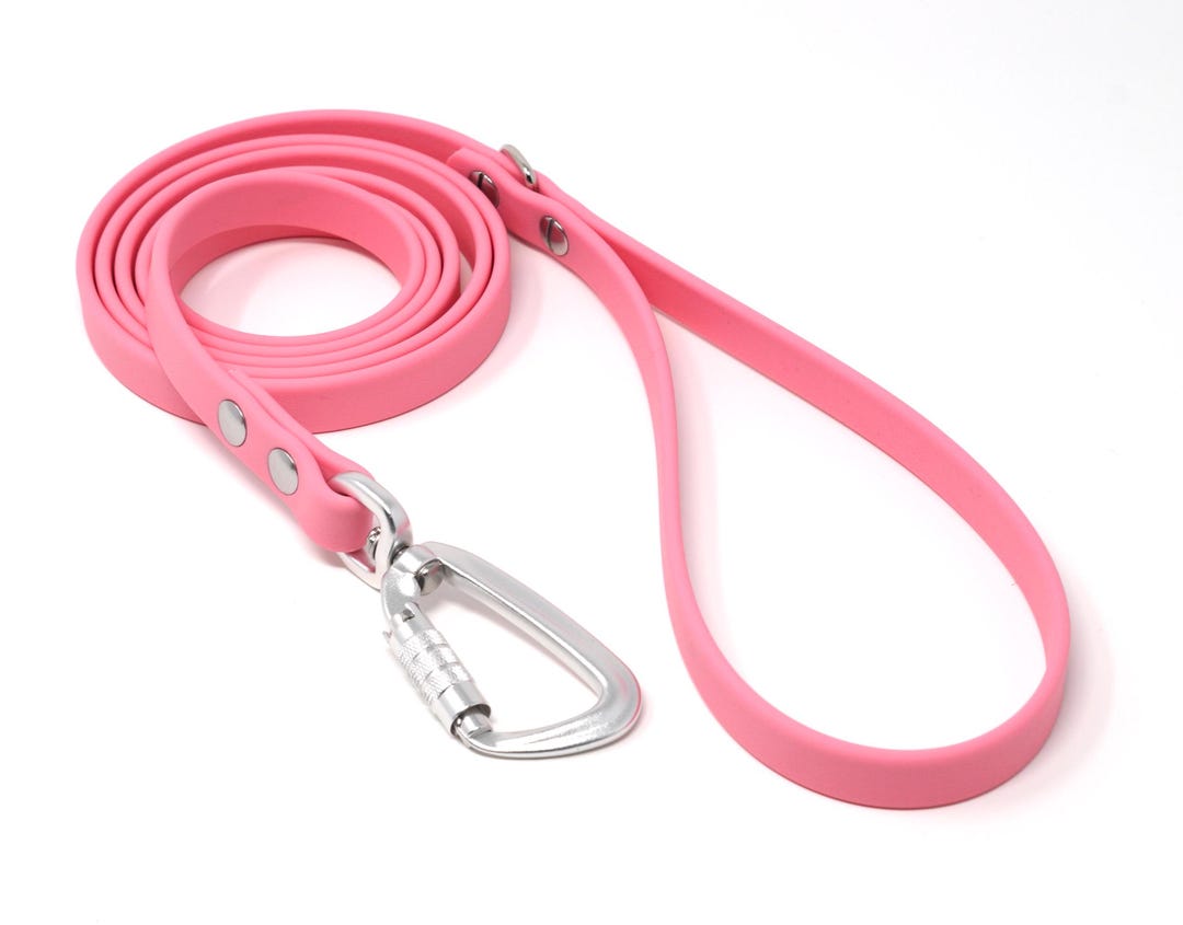 Pink Leach Light Pink Waterproof Dog Leash: 5/8