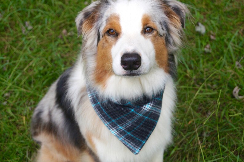 Plaid Dog Bandana Boy Dog Bandana Gifts for Dogs Gifts Etsy
