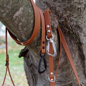 MooseExpressions tan waterproof leashes hanging on a tree branch