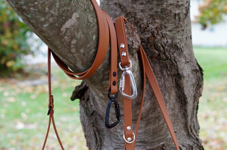 MooseExpressions tan waterproof leashes hanging on a tree branch