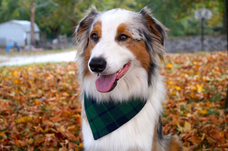 Plaid Dog Bandana, Dog Christmas Bandana Over the Collar, Dog Christmas Gift, New Dog Owner Gifts image 8