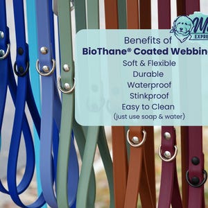 MooseExpressions benefits of BioThane® coated webbing