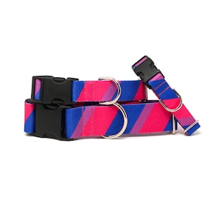 May include: Two dog collars and a leash in the colors of the bisexual pride flag: pink, blue, and purple. The collars have black plastic buckles and silver metal D-rings. The leash has a matching black buckle.