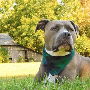 Plaid Dog Bandana, Dog Christmas Bandana Over the Collar, Dog Christmas Gift, New Dog Owner Gifts image 6