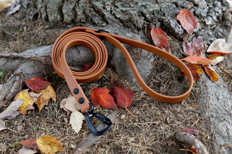 MooseExpressions tan waterproof leash with black hardware