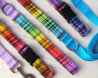 Rainbow Dog Leash, Pride Dog Collar, Rainbow Plaid, Gay Pride, New Puppy Gift