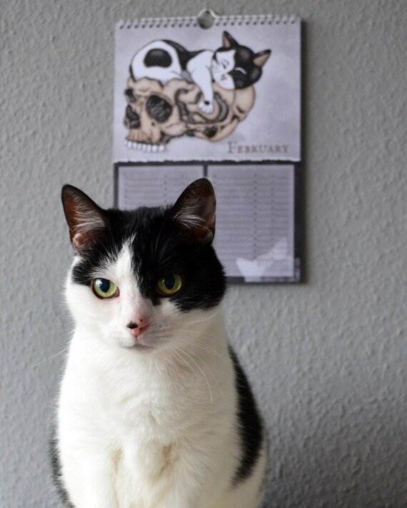 Birthday Calendar With Memory of the Dead Memento Mori, Gothic Home Decor,  Creepy Cute, Perpetual Cat Calendar, Dark Art, Vanitas - Etsy