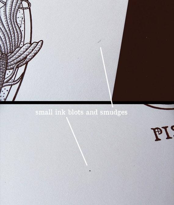 Signe De Zodiaque Poissons Dessin Art Original Chat Blanc Etsy Signe De Zodiaque Poissons Dessin Art Original Chat Blanc Etsy