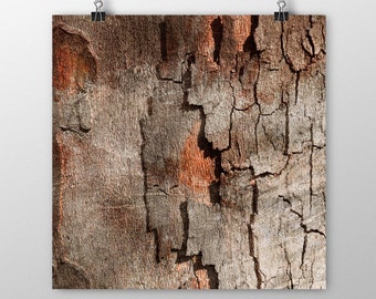 Tree bark digital paper, Wood texture, Wood backgrounds, Tree peel textured background, Wood wallpaper, Nature wallpaper, Instant download