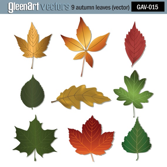 Download Free 50 Off Sale 9 Autumn Leaves Vector Etsy SVG Cut Files