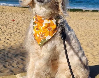 Reversible Dog/Cat  Bandanna designed to slip over collar, Rainbows with Cottage Flowers OR Orange Retro Flowers with Paisley 3 sizes avail.