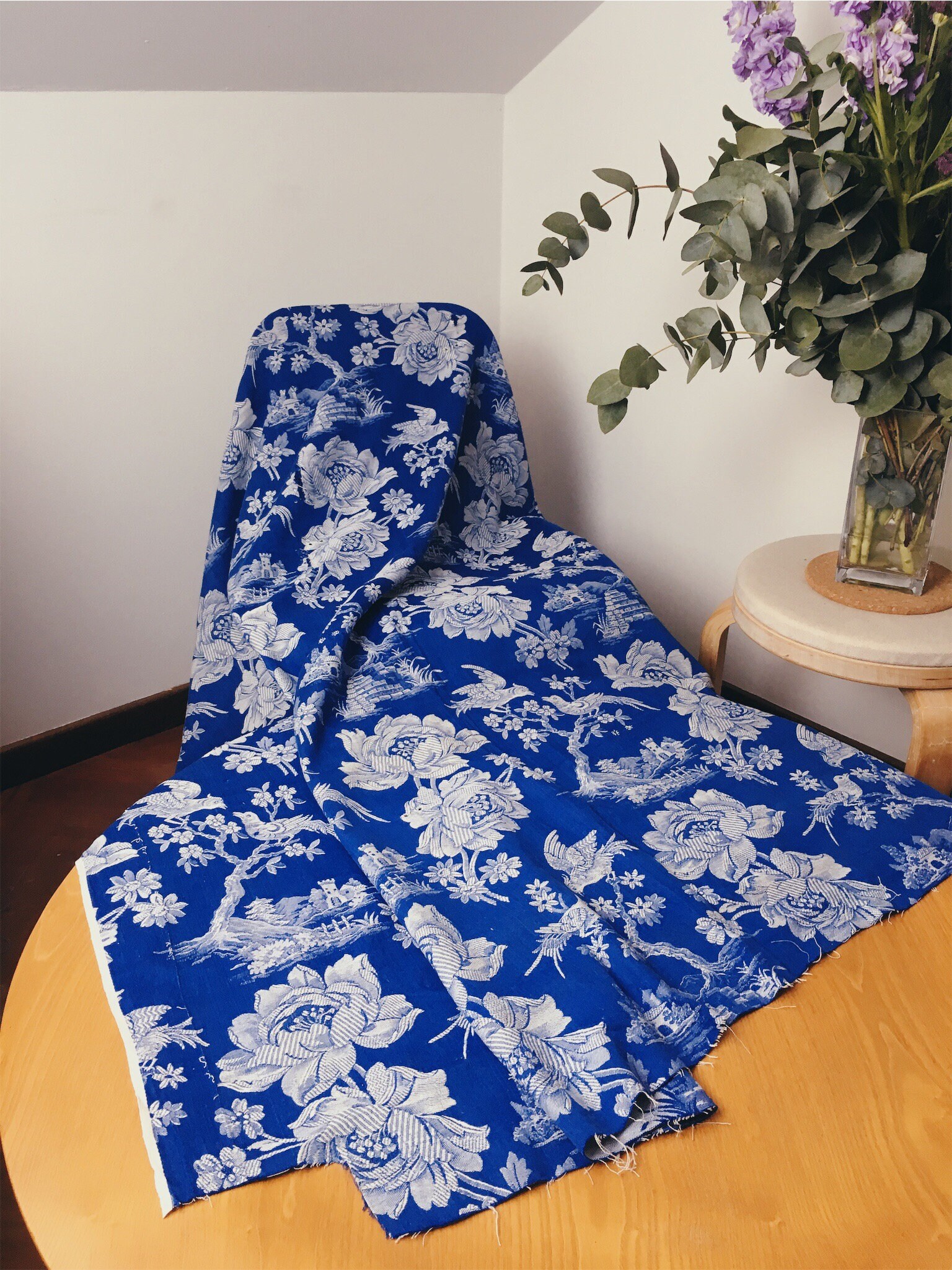 Search Results | Fabrics | QT Fabrics
