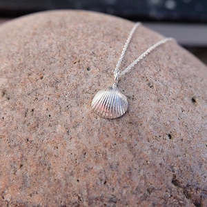 May include: A silver seashell pendant necklace on a silver chain. The pendant is a detailed, realistic depiction of a seashell.