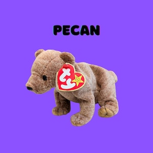 Pecan the Bear (1999) – Holographic Tush Tag – Excellent Condition TY Beanie Baby