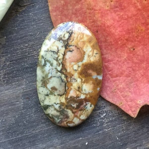 Wednesday and Enid - Jaspis obrazkowy Cabochon - Jaspis Owyhee - Rocky Butte (?) Owalny - Czarny, Szary, Zielony, Ochra, Ceglany i Rdzawy - 40 mm