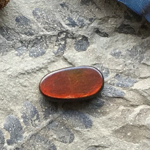Ammolite Cab - Small - Oval - Red Flash - Green Flash - Fossil - Mineral - 16.98mm