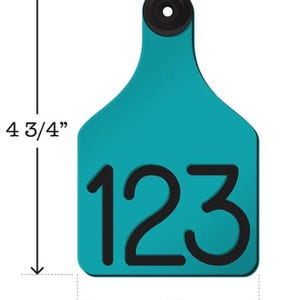 May include: Teal blue plastic livestock ear tag with the number 123 printed in black. The tag is 4 3/4 inches tall and 3 inches wide.