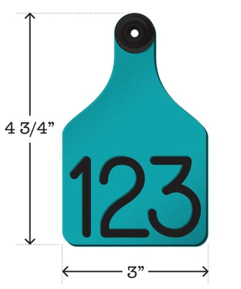 May include: Teal blue plastic livestock ear tag with the number 123 printed in black. The tag is 4 3/4 inches tall and 3 inches wide.