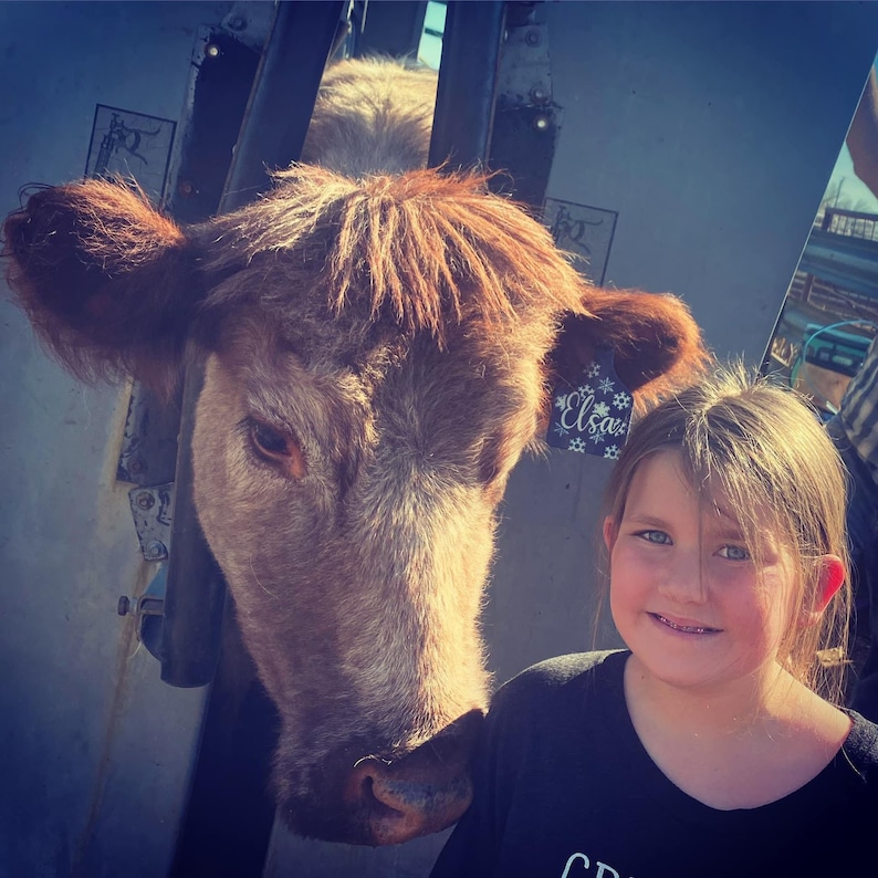 May include: A young girl with blonde hair smiles while standing next to a brown and white cow. The cow has a tag that says "Elsa" on it.