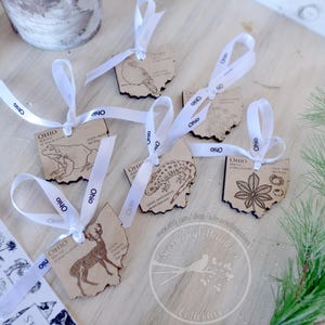 OHIO State Ornament collection, wooden ornaments, Christmas ornament set