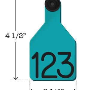 Puede incluir: Etiqueta de identificaci&oacute;n de ganado de pl&aacute;stico azul turquesa con el n&uacute;mero "123" impreso en negro. La etiqueta mide 11,4 cm de alto y 5,7 cm de ancho.