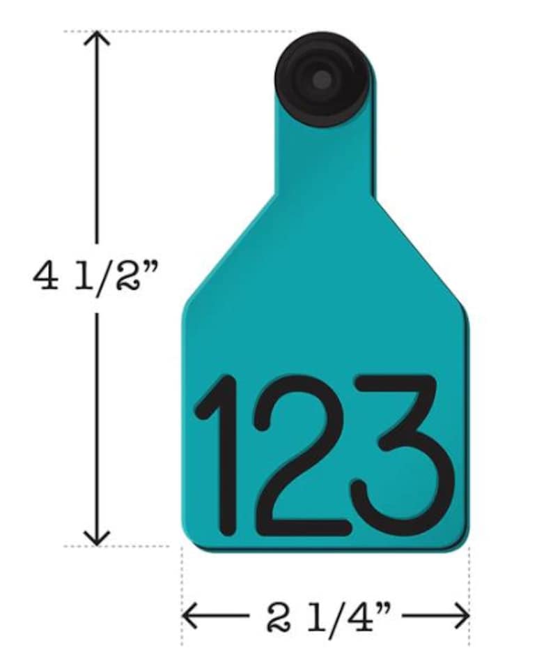 Puede incluir: Etiqueta de identificaci&oacute;n de ganado de pl&aacute;stico azul turquesa con el n&uacute;mero "123" impreso en negro. La etiqueta mide 11,4 cm de alto y 5,7 cm de ancho.