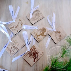 WYOMING State Ornament collection, wooden ornaments, Christmas ornament set