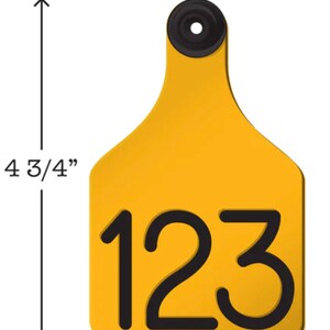 May include: Yellow plastic livestock ear tag with a black number "123" printed on it. The tag is 4 3/4 inches tall.