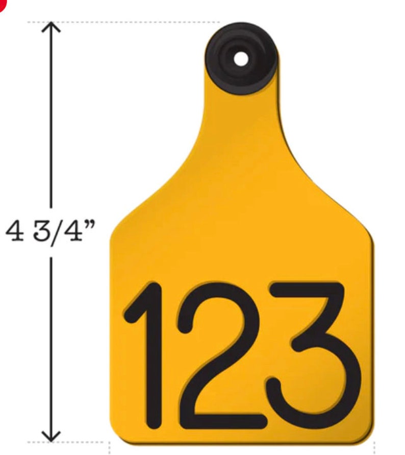 May include: Yellow plastic livestock ear tag with a black number "123" printed on it. The tag is 4 3/4 inches tall.