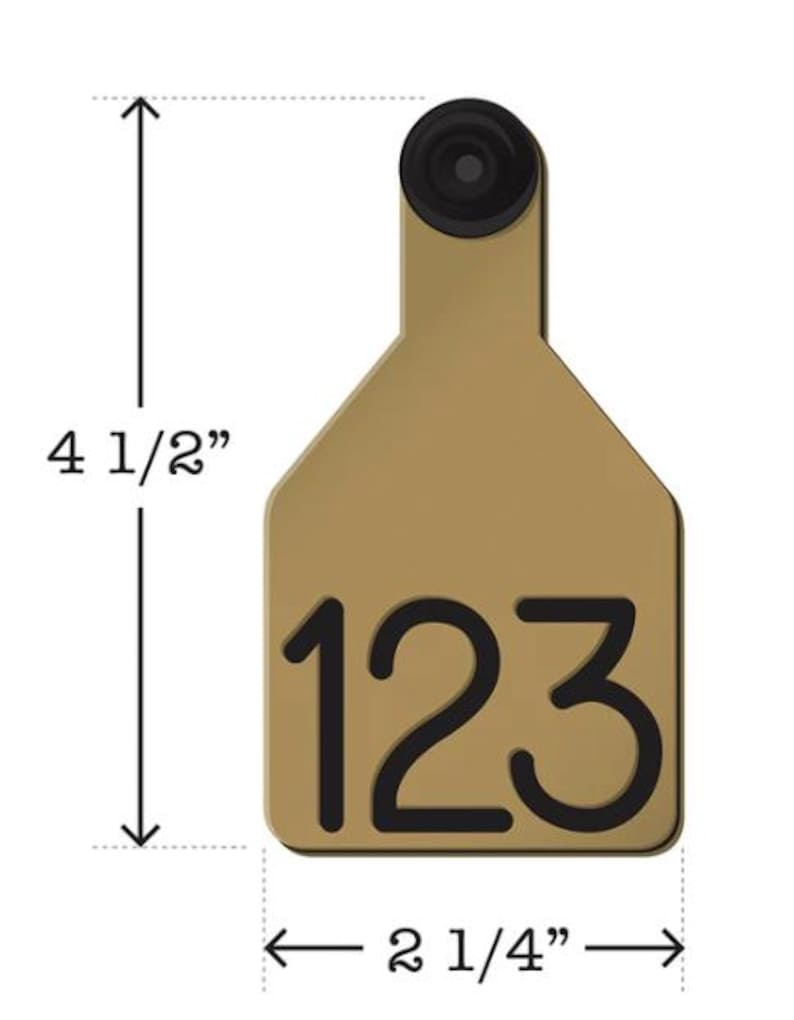 Puede incluir: Una etiqueta de identificaci&oacute;n de ganado de pl&aacute;stico marr&oacute;n con un agujero negro en la parte superior y el n&uacute;mero 123 impreso en negro. La etiqueta mide 11,4 cm de alto y 5,7 cm de ancho.