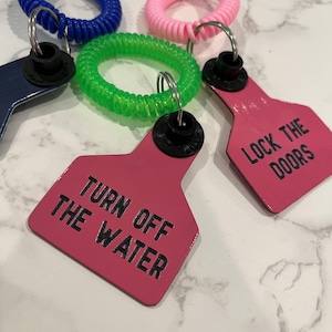 May include: Two pink plastic keychains with the text "Turn Off The Water" and "Lock The Doors" on them. The keychains are attached to green and blue coiled keyrings.