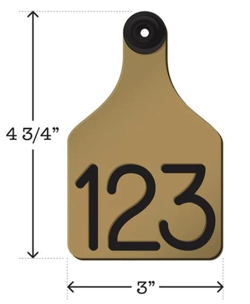 May include: A gold-coloured plastic livestock ear tag with the number 123 printed in black. The tag is 4 3/4 inches tall and 3 inches wide.