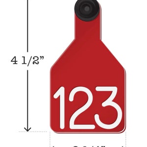 Puede incluir: Etiqueta de oreja roja de pl&aacute;stico para ganado con el n&uacute;mero "123" impreso en blanco. La etiqueta mide 11,4 cm de alto y 5,7 cm de ancho.