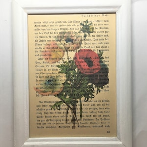 Anemone Art Print On Old Vintage Page From Antique Book, Red Anemone With Text Background, White Frame Picture, Bathroom Wall Decor