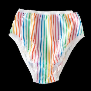 Rainbow Stripe High Rise Undies