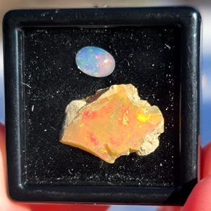 May include: A black display case holding two opals. One is an oval-shaped, polished opal with iridescent colors. The other is a rough, orange and yellow opal with a textured surface. The opals are set against a black background.