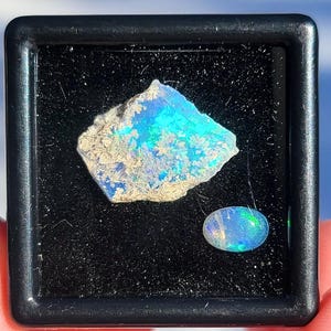 May include: A black display case holds two opals. One is a rough, irregular shape with blue and green iridescence. The other is an oval-shaped opal with similar colors. The opals are set against a black background.