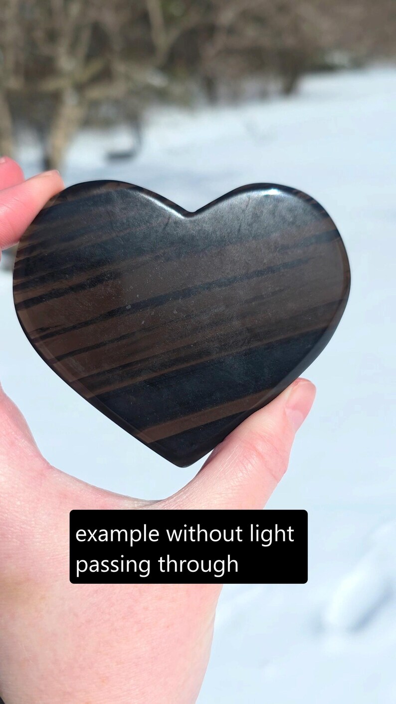 May include: A heart-shaped polished stone featuring dark brown and black horizontal bands. The surface is smooth and reflective. A black rectangular label with white text reads: example without light passing through.