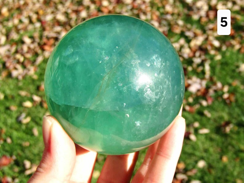 May include: A translucent, green fluorite sphere. The polished gemstone is held in a hand, with a blurred background of green grass and fallen leaves. The sphere has internal veining and a smooth, reflective surface. A white number 5 is in the upper right corner.