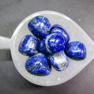 Lapis Lazuli Tumble - Lapis Pocket Stone - Natural Tumbled Lapis Crystal Stone