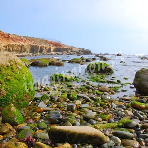 San Diego California Point Loma Tidepool Photography Digital Download